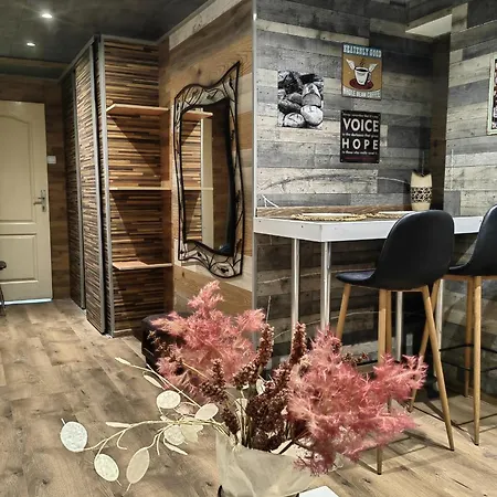 Ogledalo Apartment *